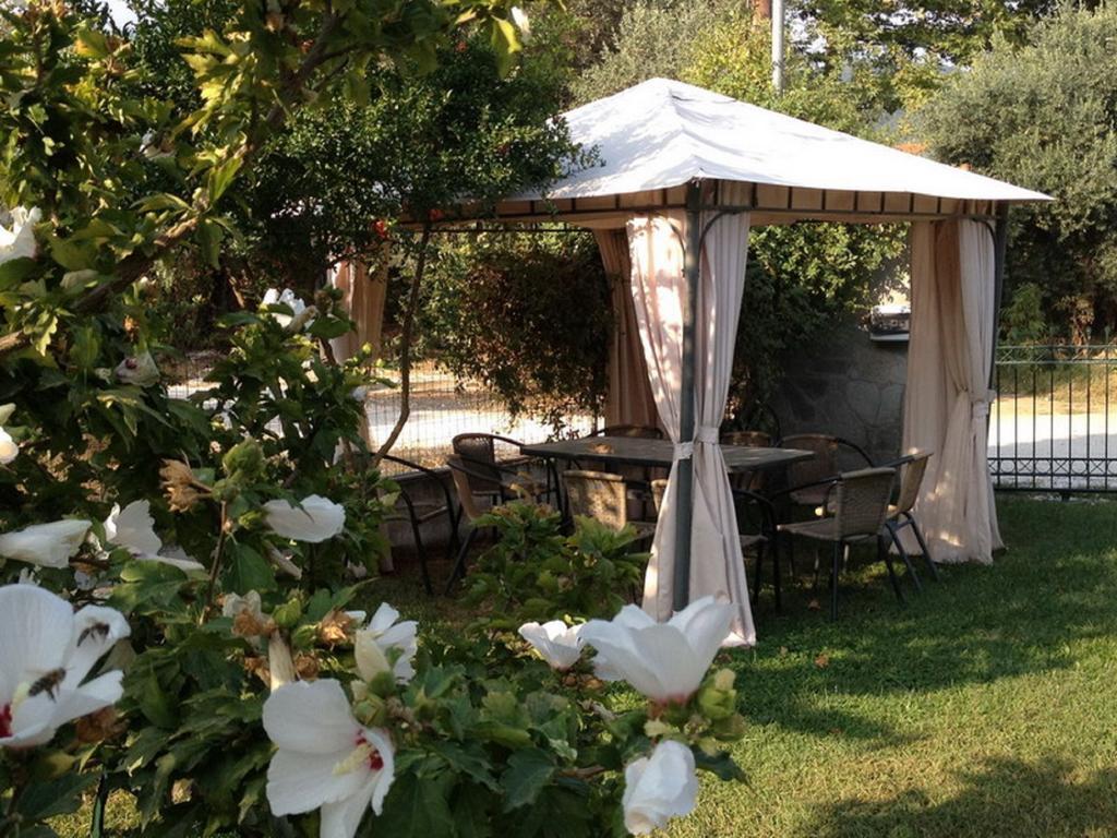 Villa Thassos Paradise Εξωτερικό φωτογραφία